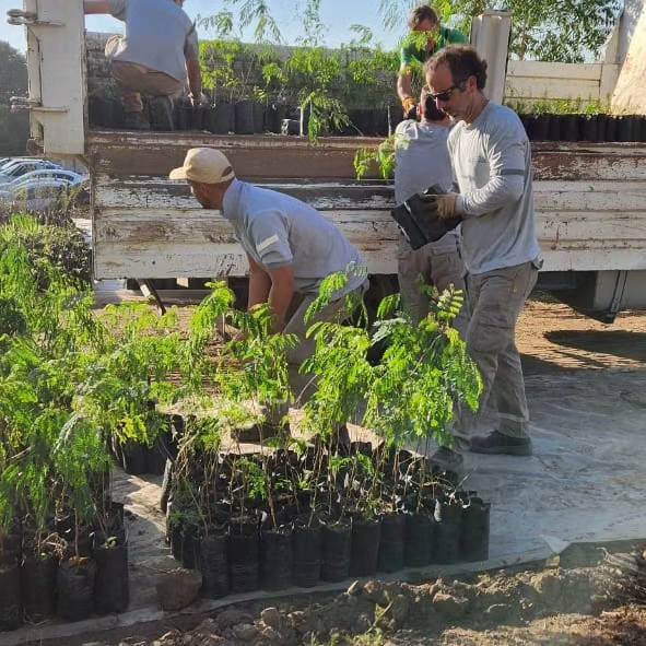 JUNTOS, POR LA REFORESTACIÓN TRAS LOS INCENDIOS