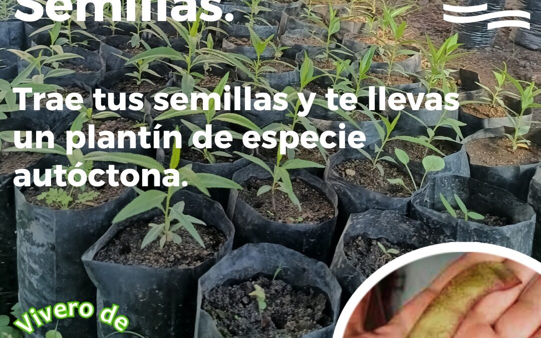 Plan Canje de Semillas