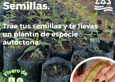 Plan Canje de Semillas