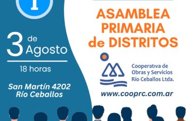 Asamblea Primaria de Distritos