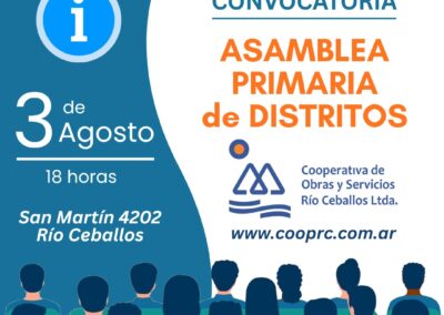 Asamblea Primaria de Distritos